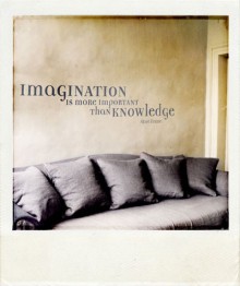 Imagination is more important than knowledge11.jpg